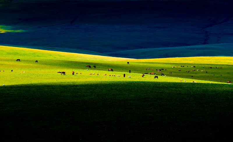 ���¿�����  (1).jpg