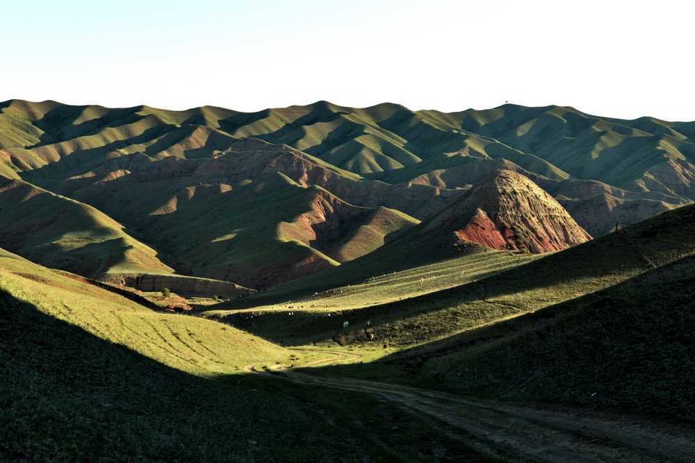 ����   ������