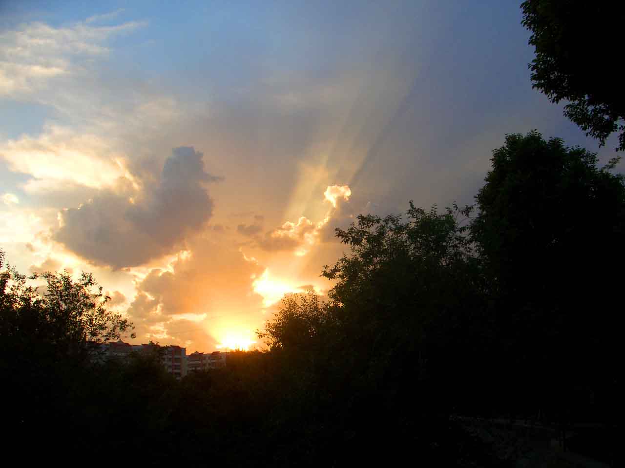 CIMG4932 ����.jpg