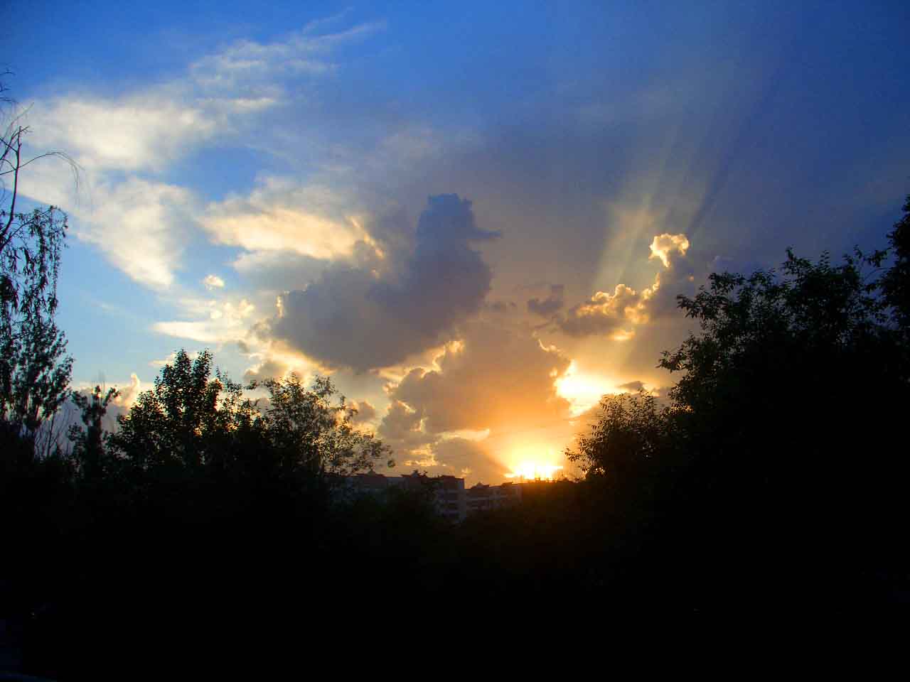 CIMG4931 ����.jpg