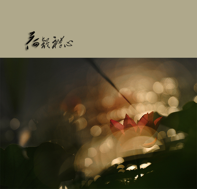 �������� (1).jpg