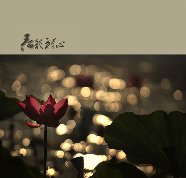 �������� (2).jpg