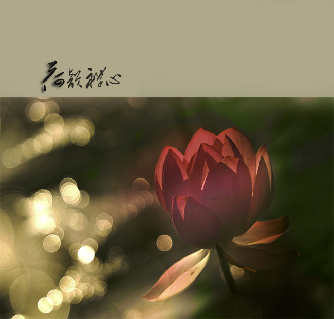 �������� (4).jpg