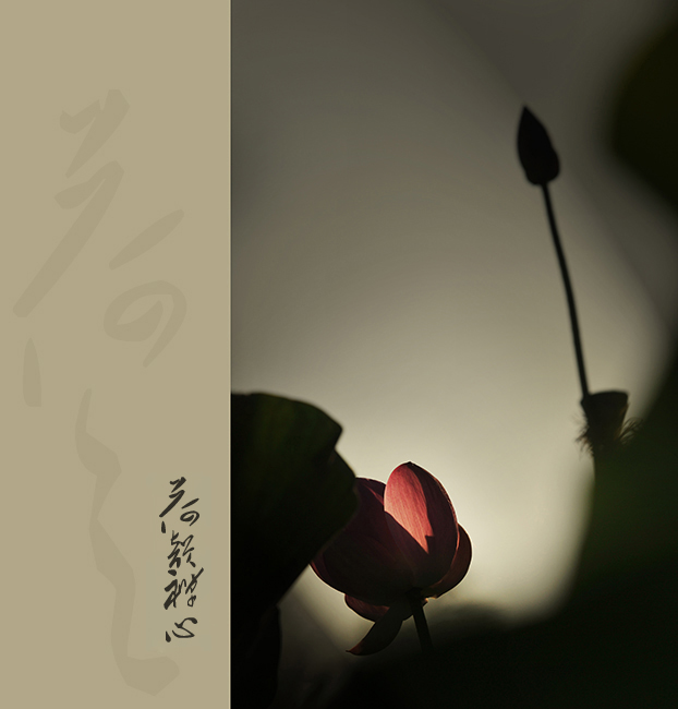 �������� (6.).jpg