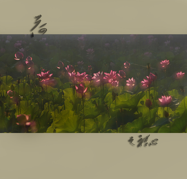 �������� (7.).jpg