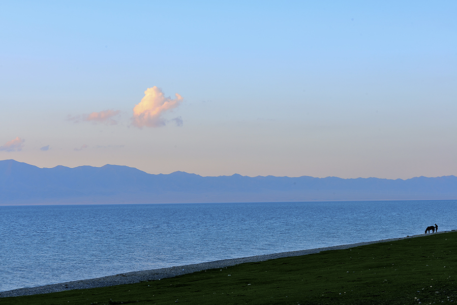 ��������ľ����