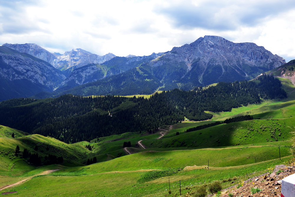 С·����   ������