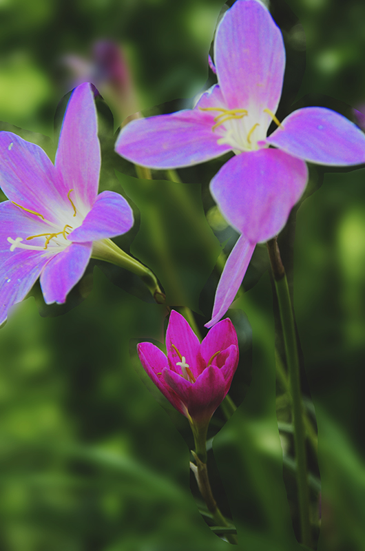 ��ת 2014��6��22�������¡����� a2481.jpg