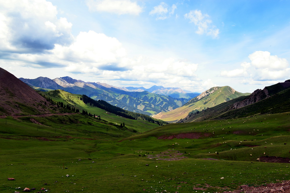 ������   ������