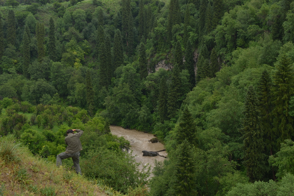 Ͽ��    ������