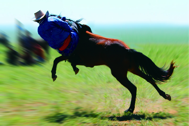 ��ѱ����The horses.jpg