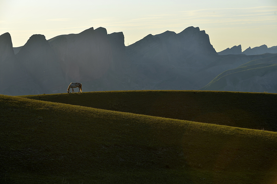 �ҵ�ɽͷ����ɽ����