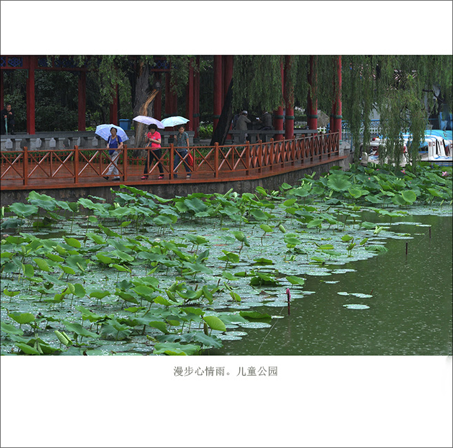 ���й�԰ (1).jpg