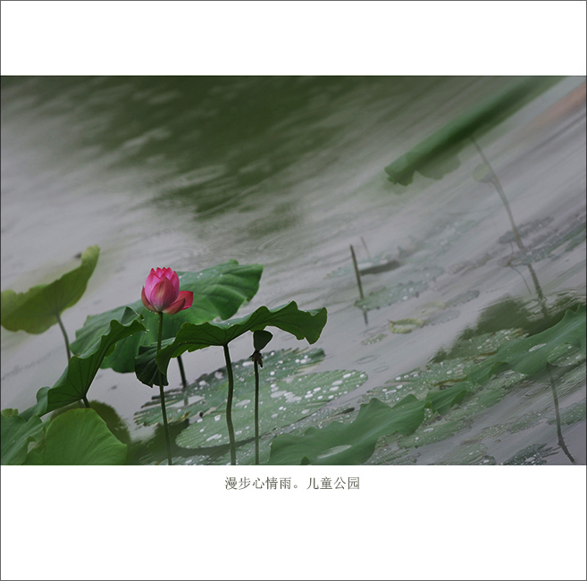 ���й�԰ (3).jpg