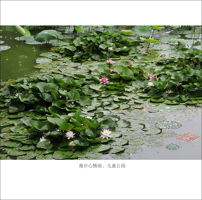 ���й�԰ (4).jpg