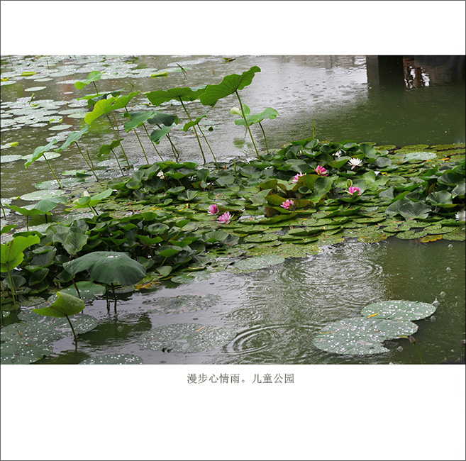 ���й�԰ (5).jpg