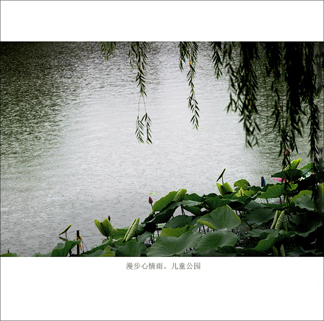 ���й�԰ (7).jpg