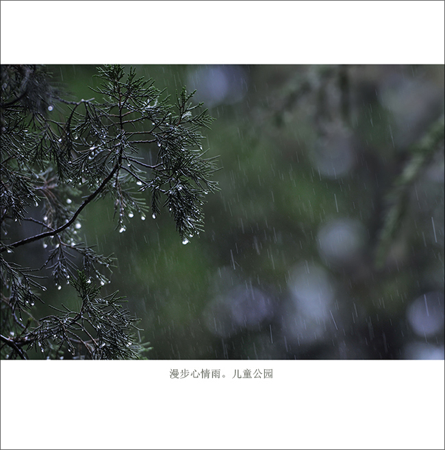 ���й�԰ (9).jpg