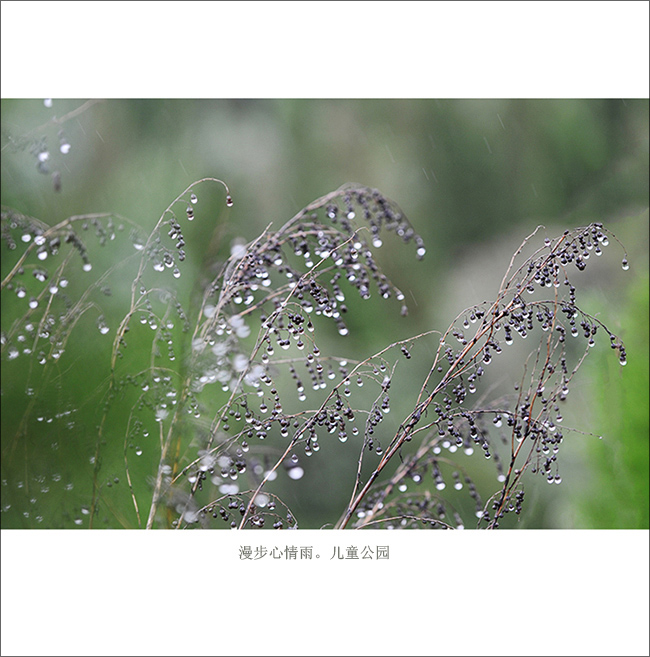 ���й�԰ (10).jpg