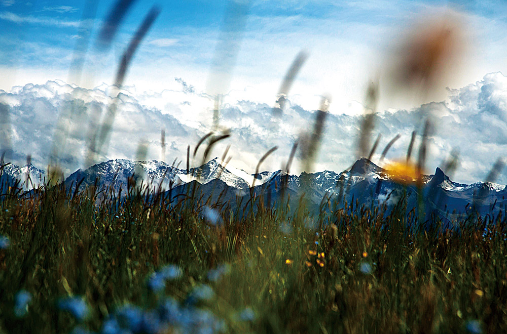 ���� IMG_8578.JPG