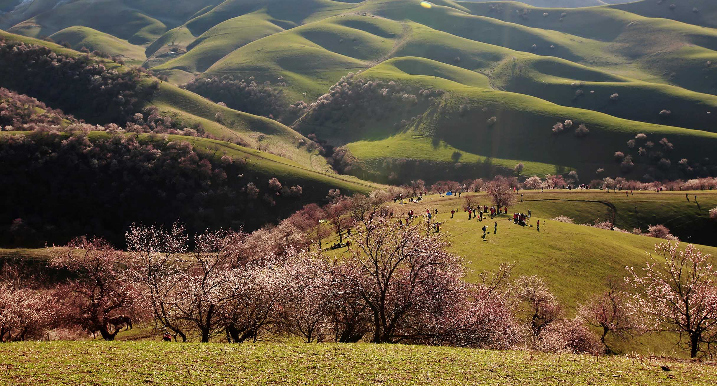 ������Ұ��