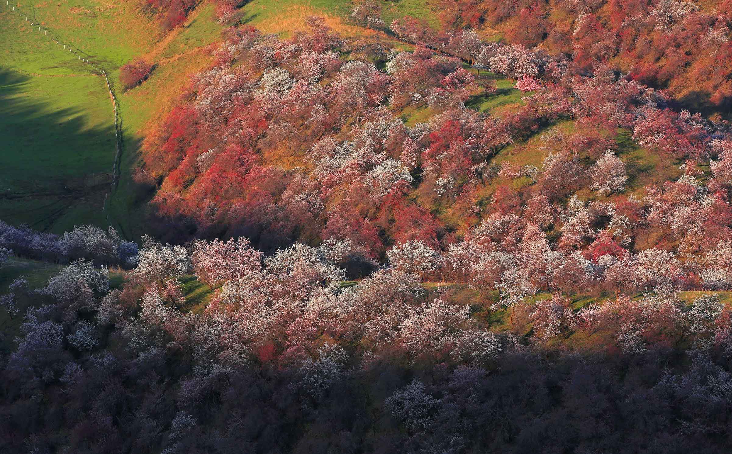 �ӻ�����Ц����