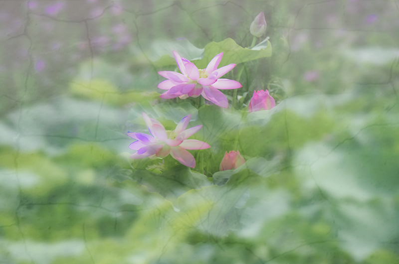 2013��7��20�հ������Ƭ a3071.jpg