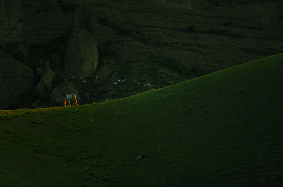 �������ֵİߵ���