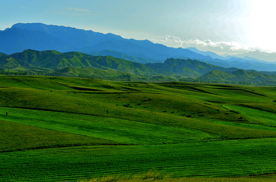 �����������ɽ����