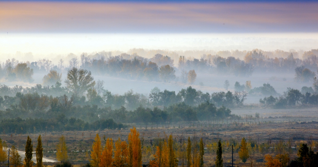 ������ɫ