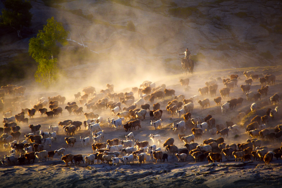 ����ת��