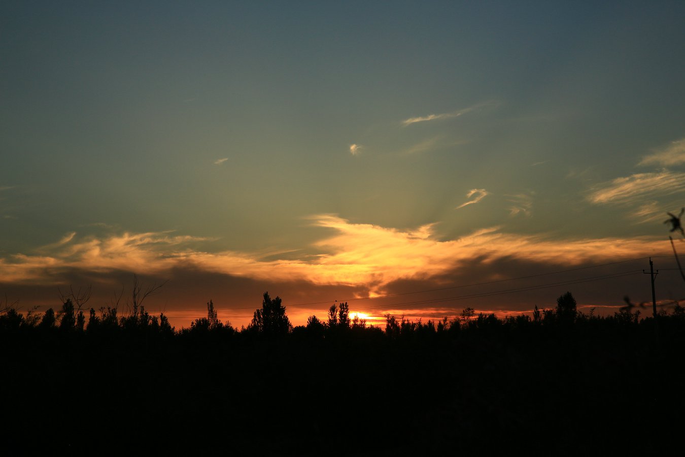 ����̲����ϼ 201.jpg