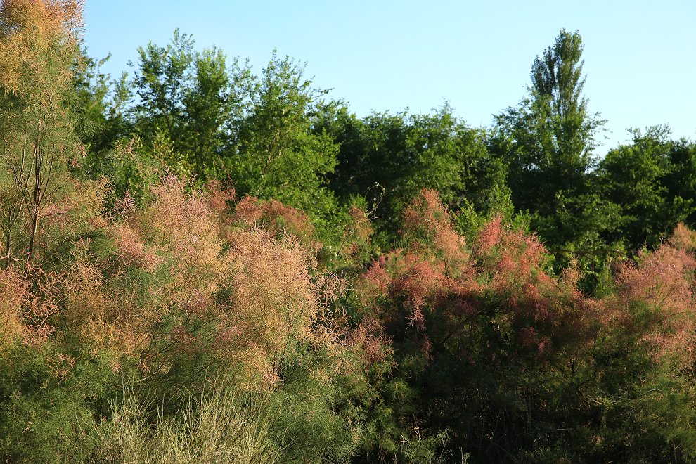 ����˹ ���� 096.jpg