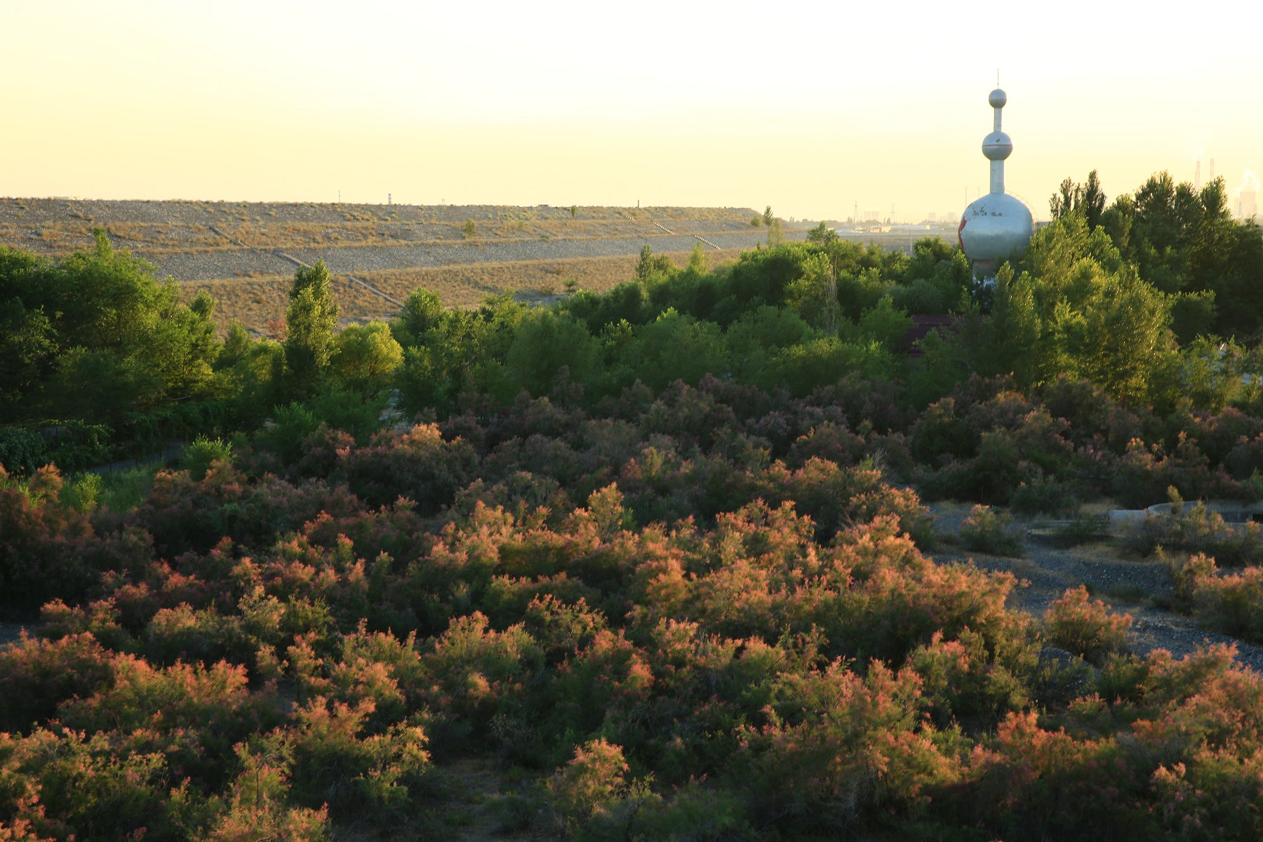 ����˹ ���� ���տ� 166.jpg