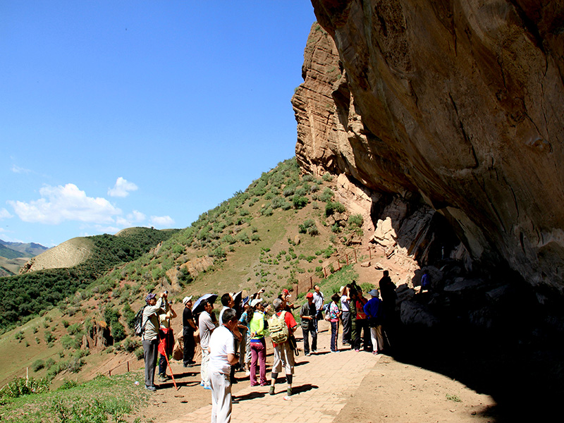 ������ɫ�ľ�տ����