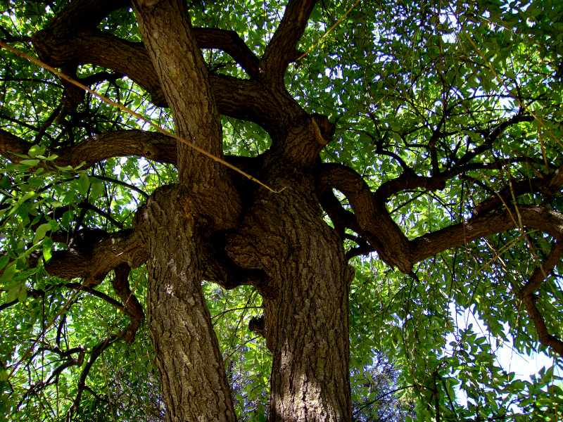 ���㽱�����������Ӿ��� (1).jpg