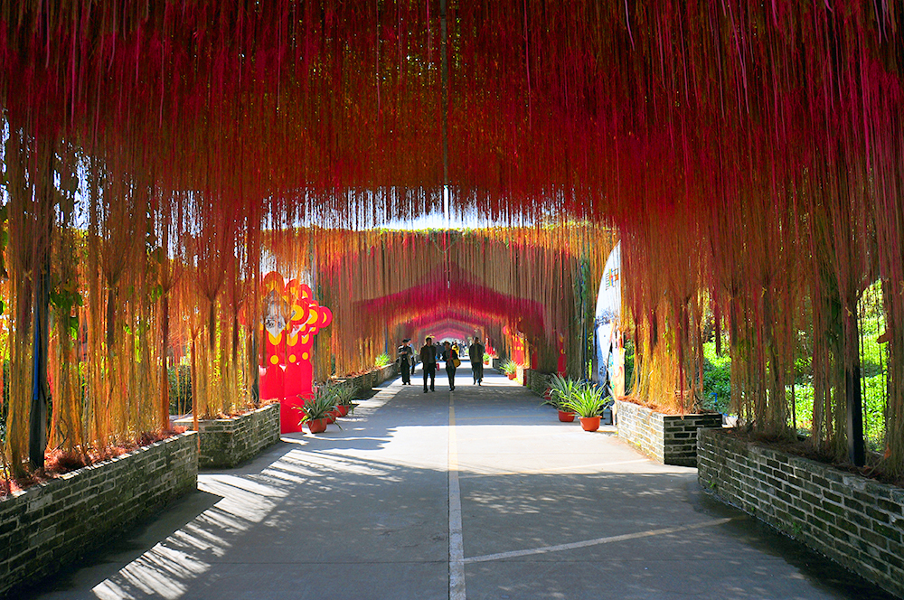 ���㽱�����������Ӿ��� (2).jpg