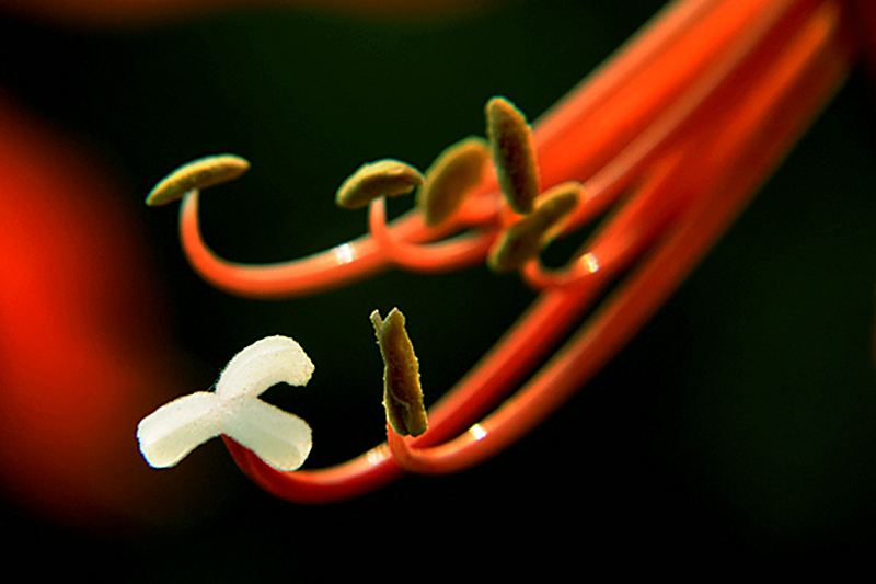 ���㽱���������ɽ�� (1).jpg