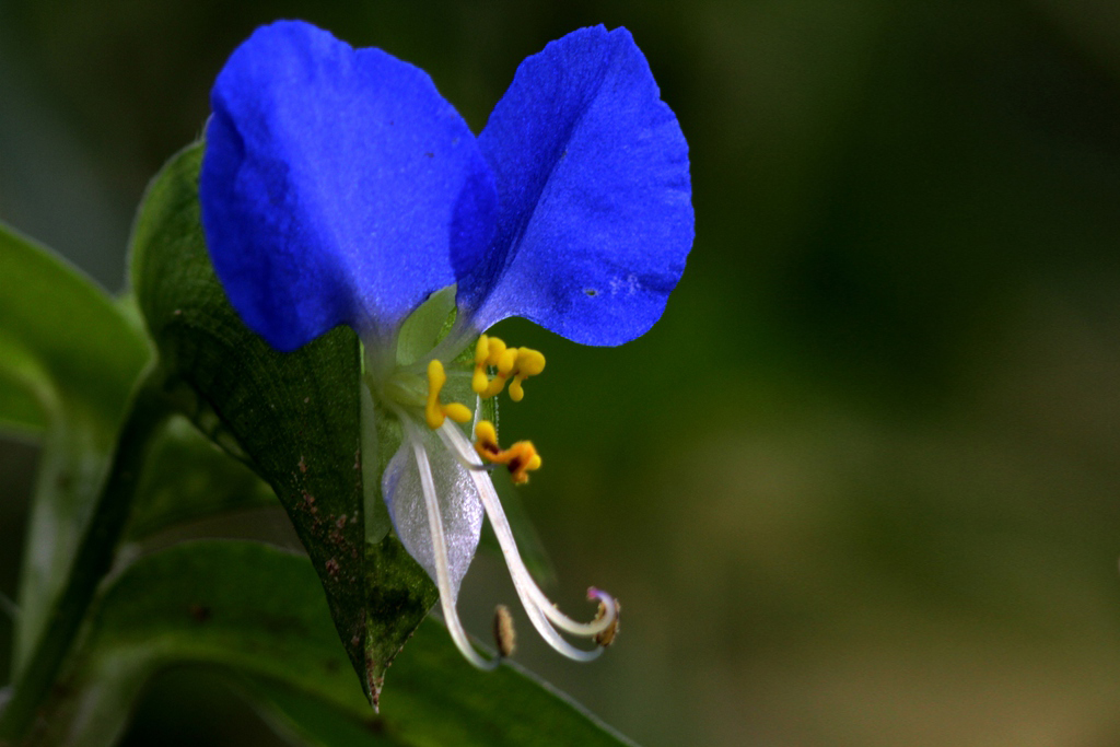 ���㽱����Ѽ�Ųݡ�ǭ��Ե�� (1).jpg