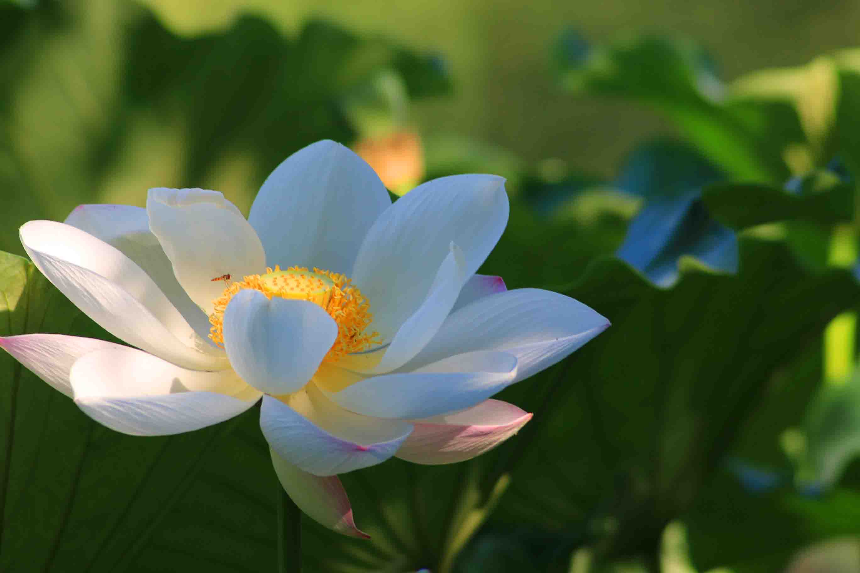 IMG_9859 ����.jpg