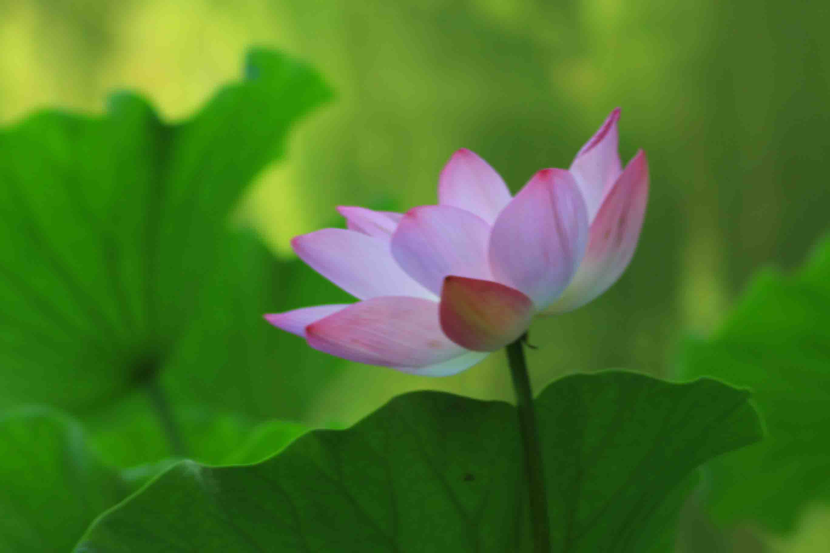 IMG_9835 ����.jpg