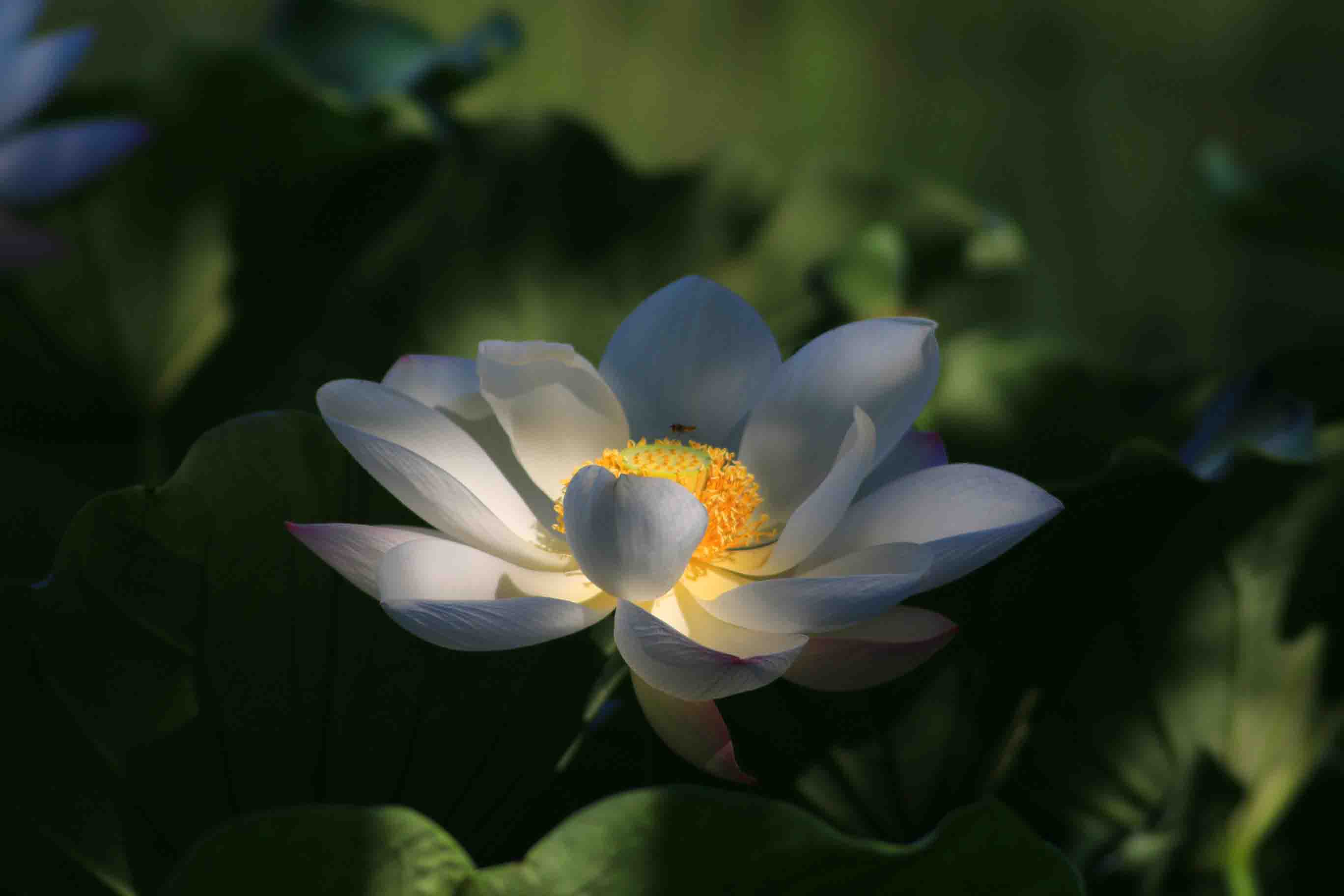 IMG_9836 ����.jpg