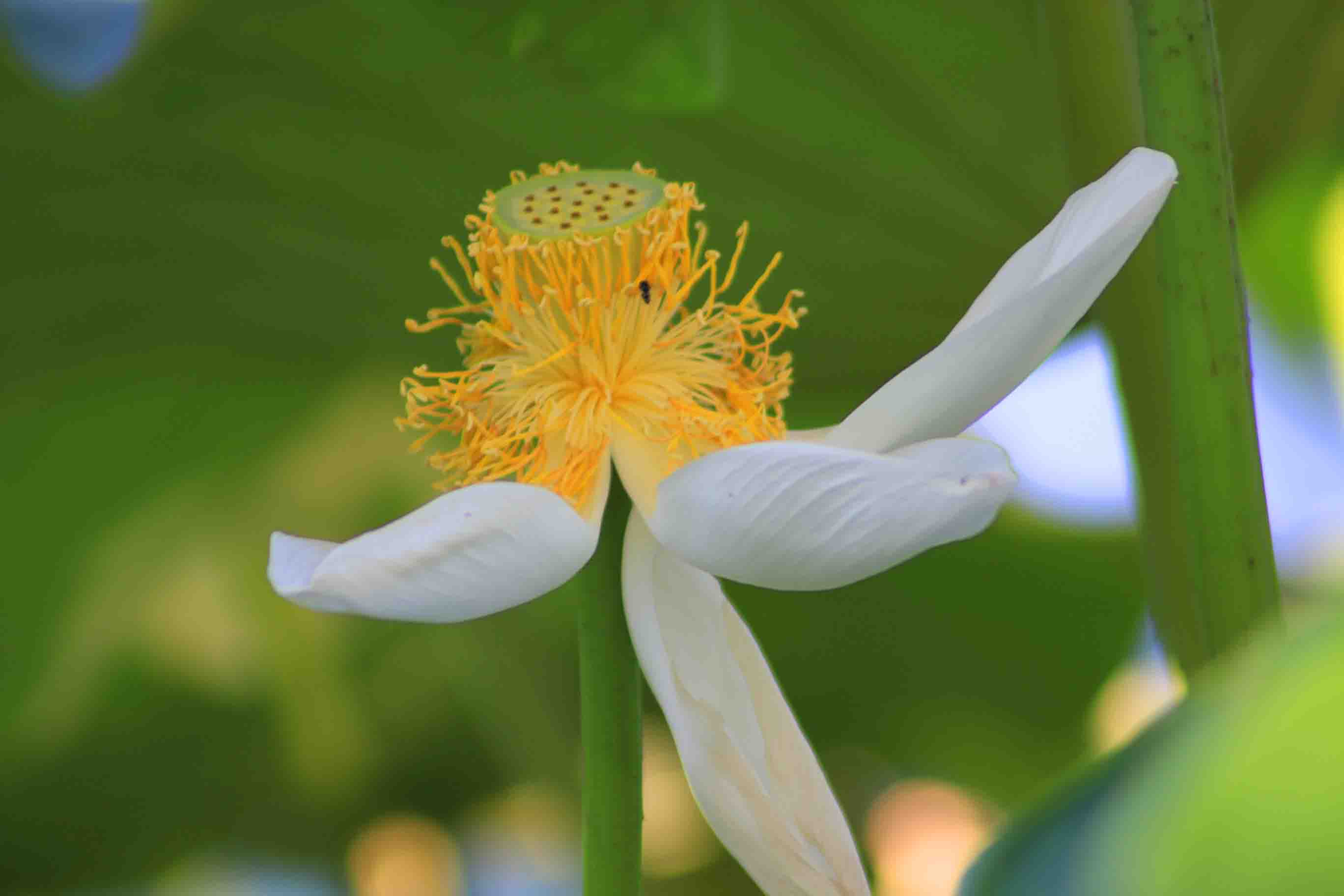 IMG_9853 ����.jpg