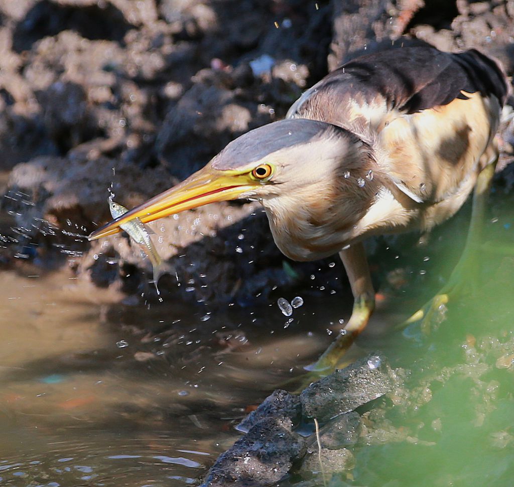 ������� - ����_����.jpg