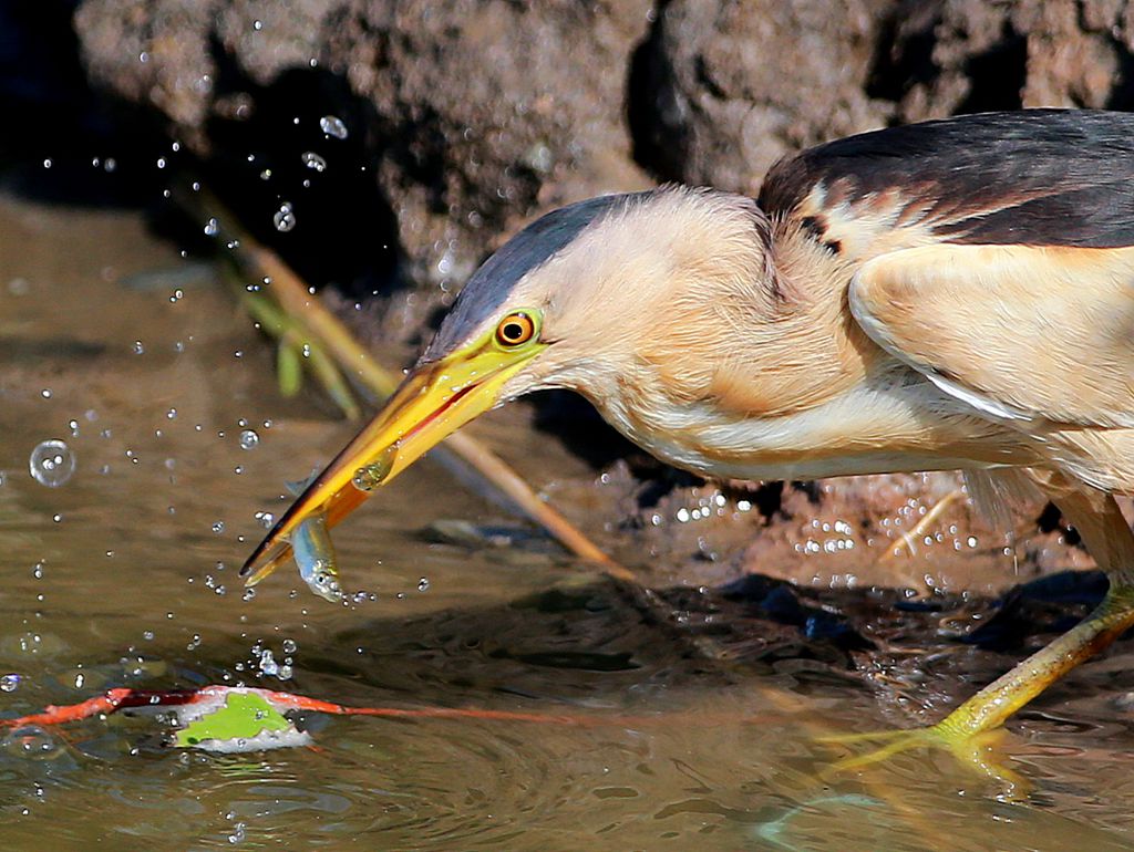 ˫��3 - ����_����.jpg