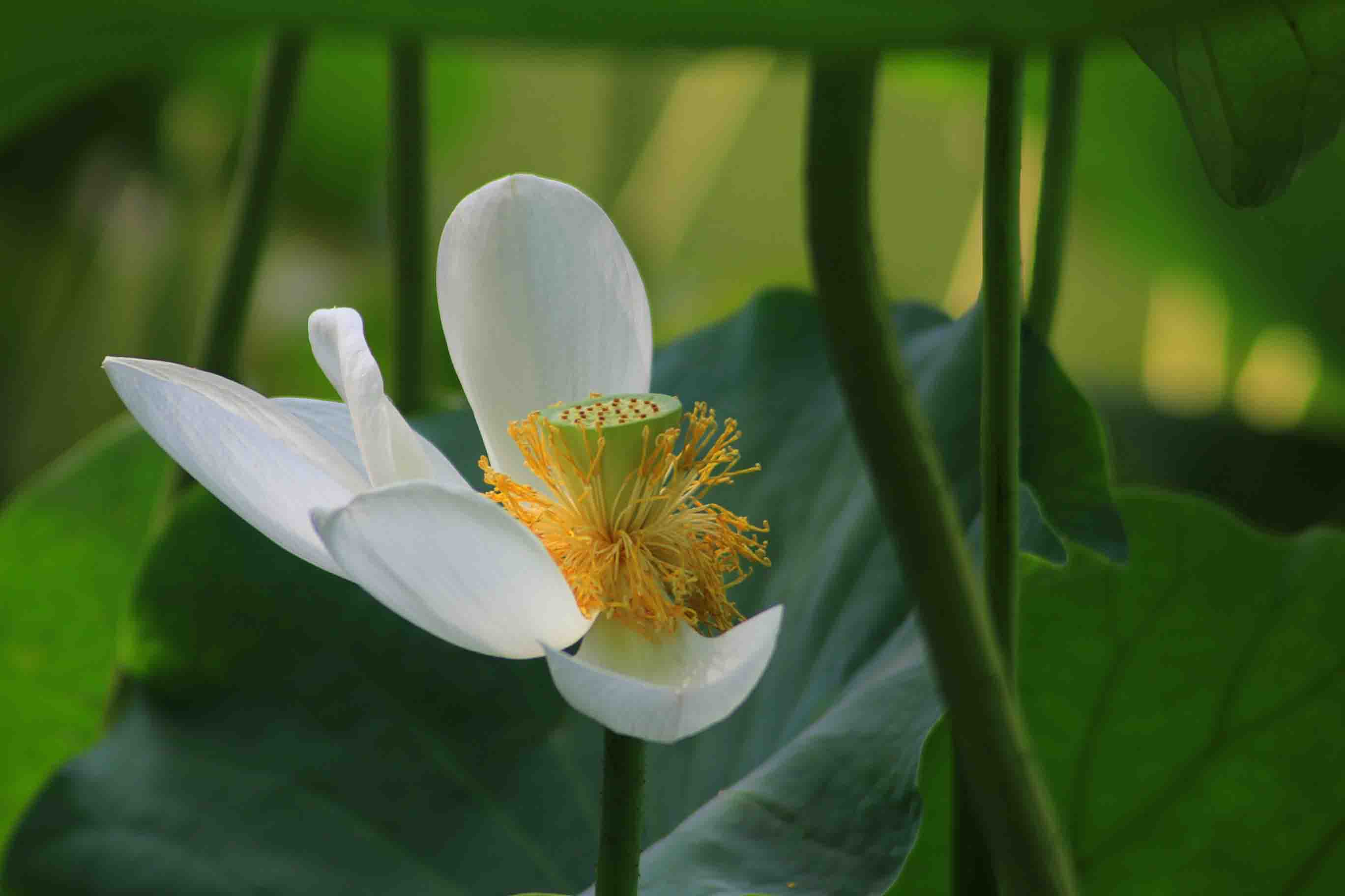 IMG_9832 ����.jpg