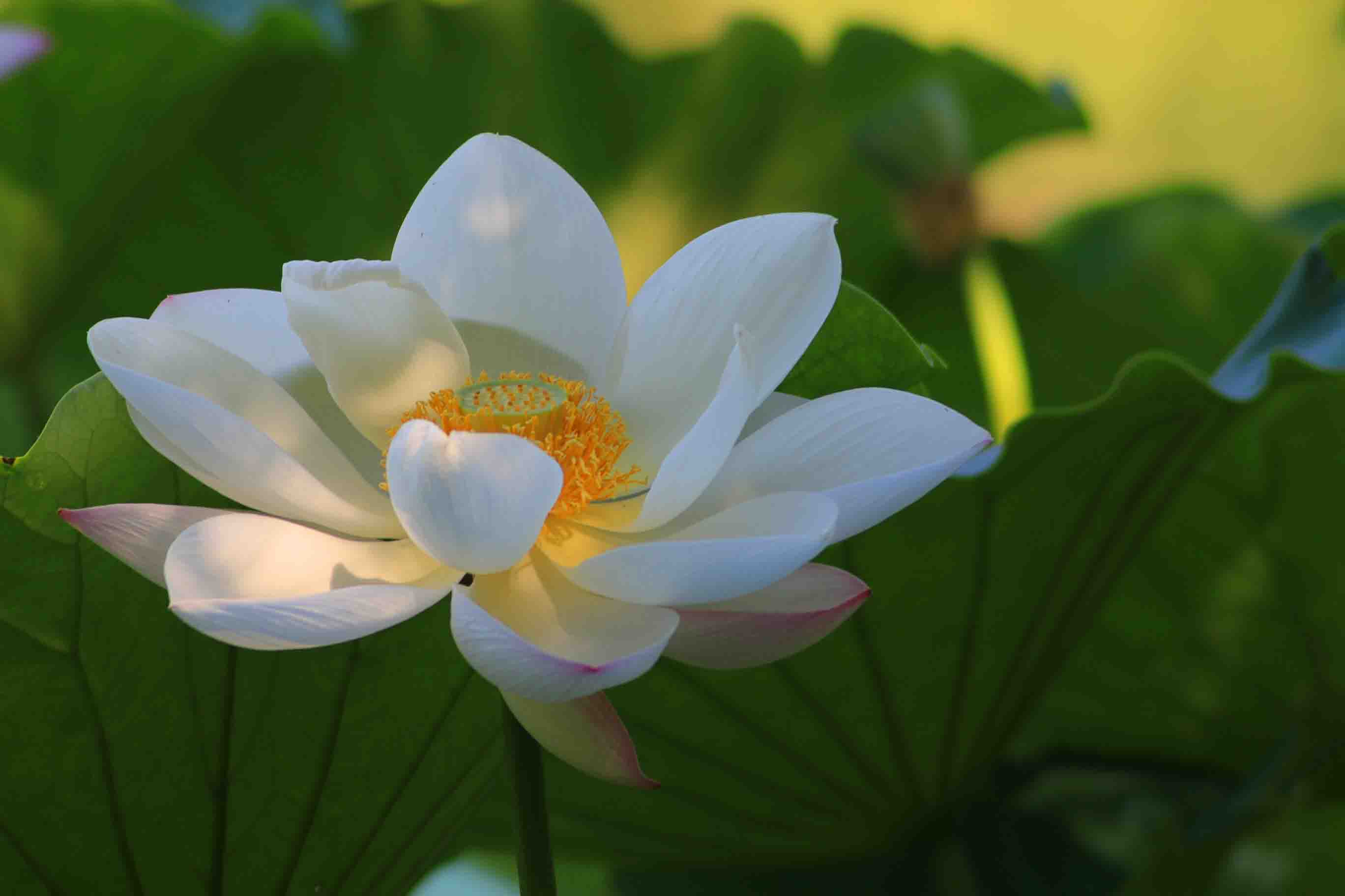 IMG_9869 ����.jpg