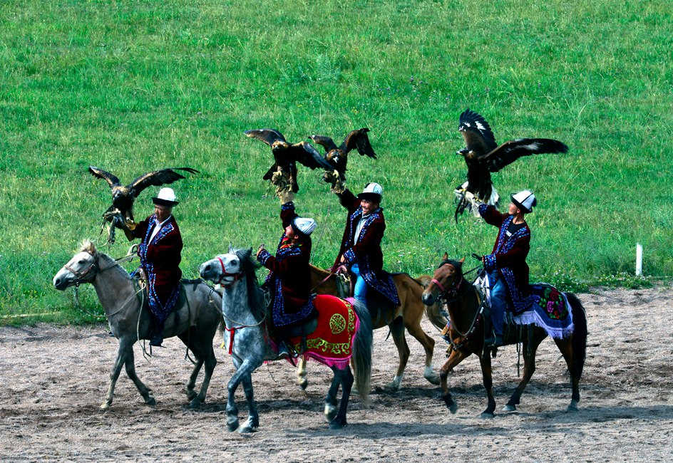 ��ӥ ����.jpg