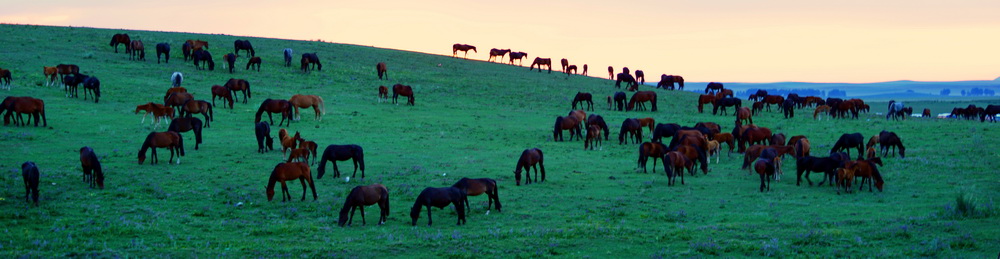 �����ȴ�    ������