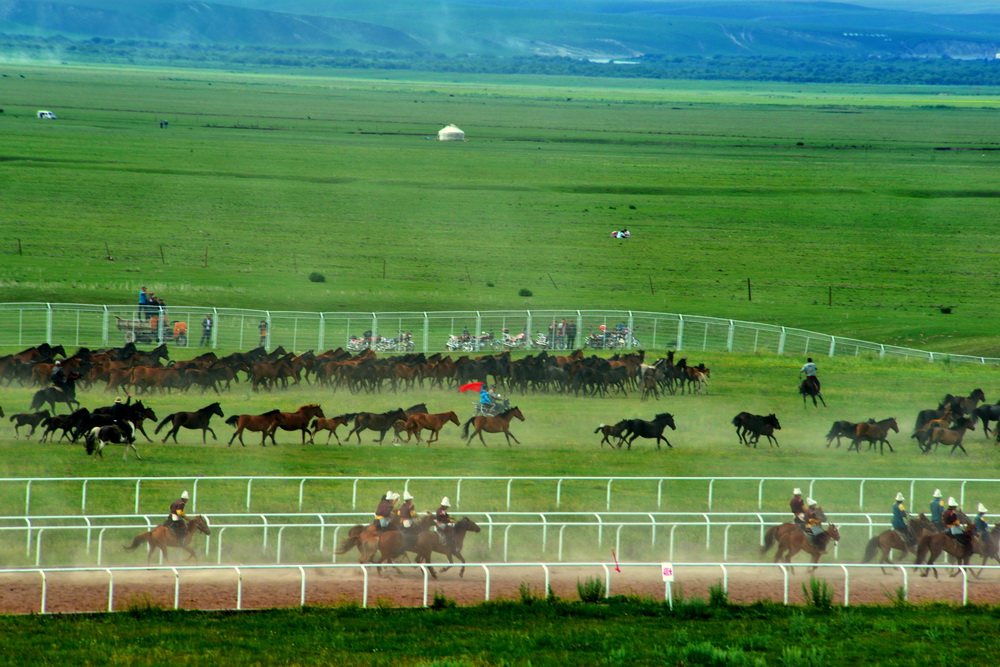 ǧ������   ������